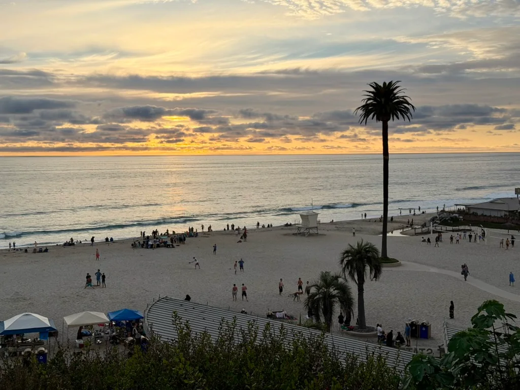 Sunset over a beach with a tall palm tree